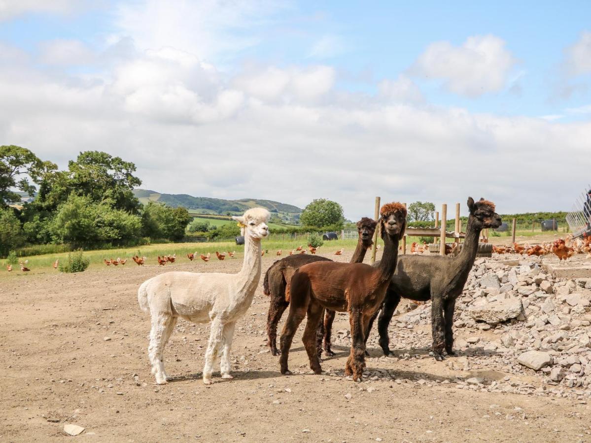 Glebe Farm Cottage Newry Luaran gambar