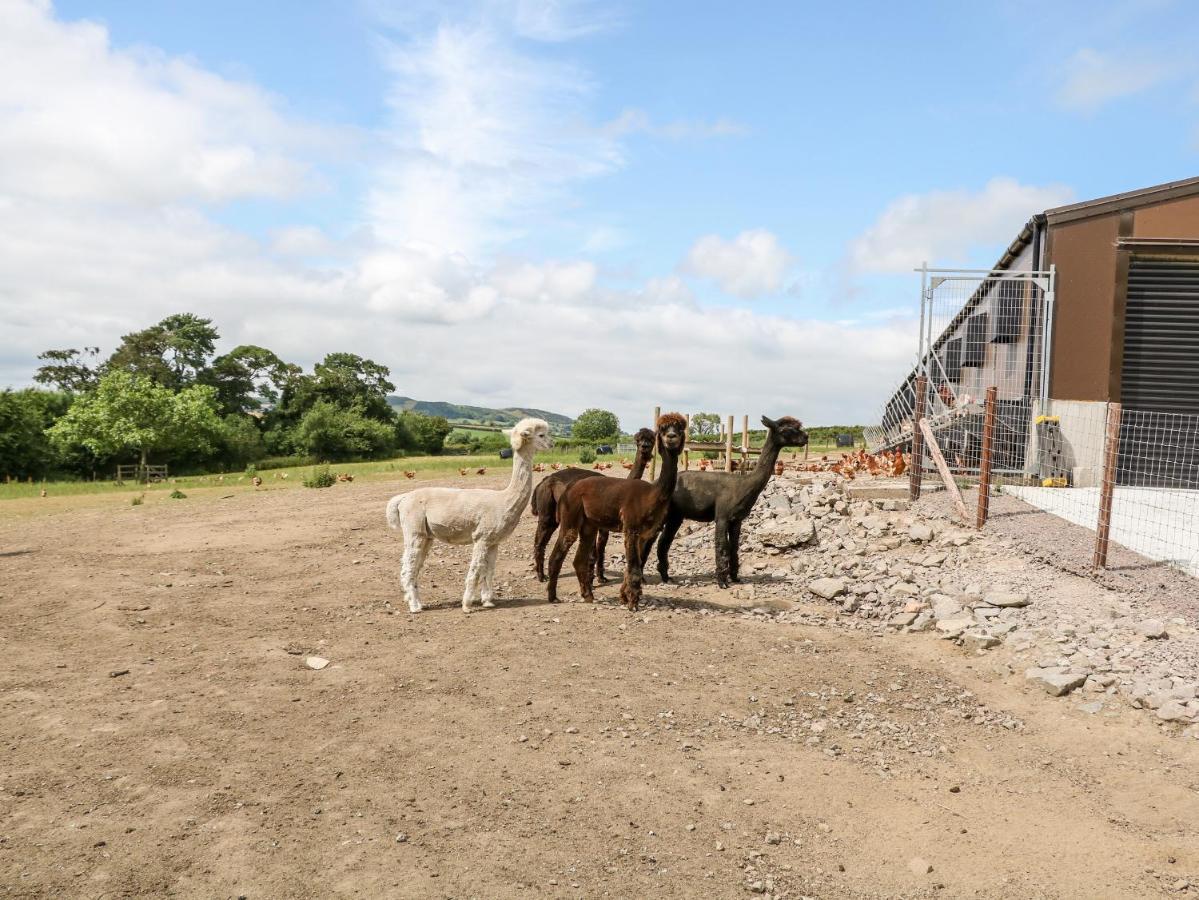 Glebe Farm Cottage Newry Luaran gambar
